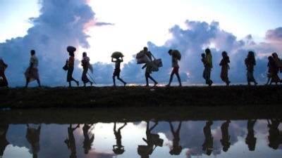 Migration