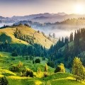 God-Given Beauty
