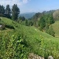 Pilgrimage (Part 1)