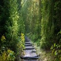 Through the Storm: The Old Way